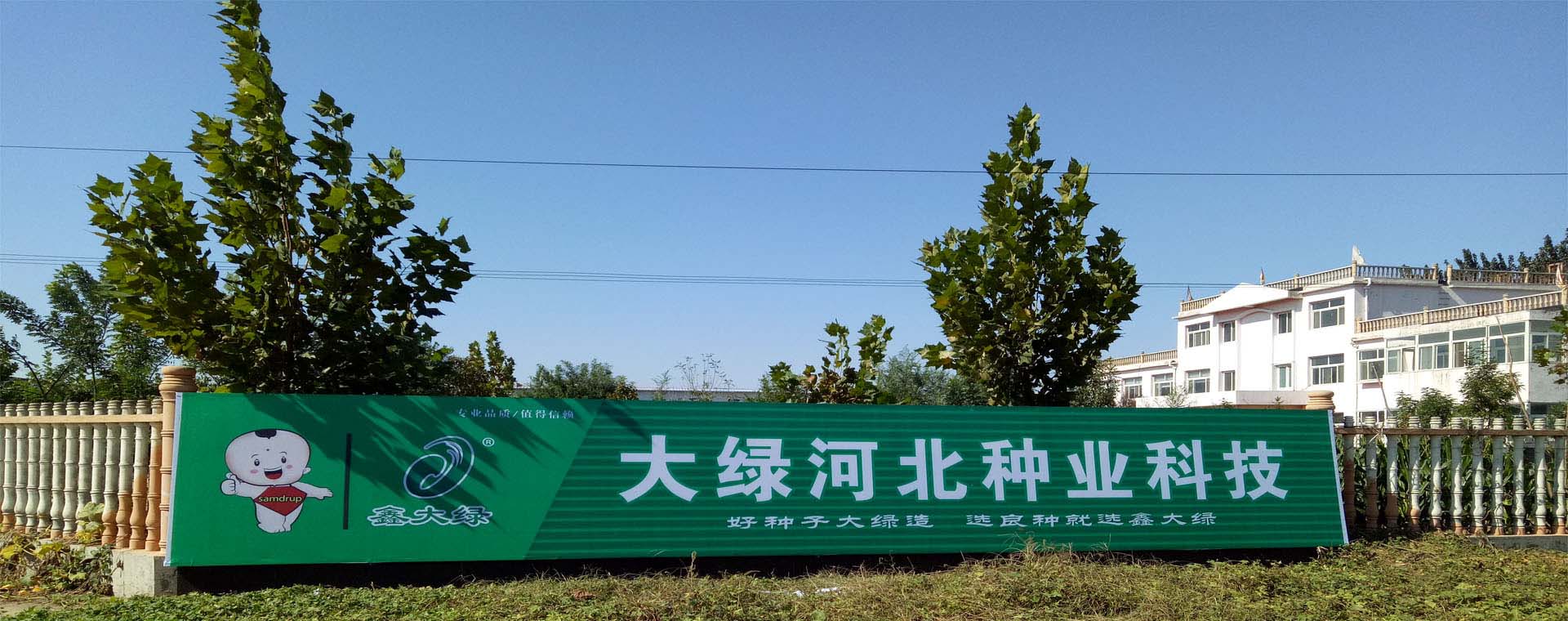 企業(yè)使命