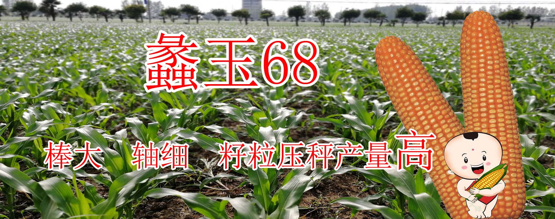 栽培技術(shù)